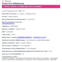 Téléphonie Pro