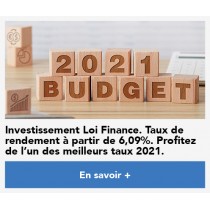 Leads bruts Défiscalisation Loi Finance