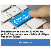 Leads bruts Rachat de crédits